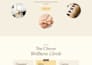 build wix website design, wix website redesign, wix ecommerce, wix studio
